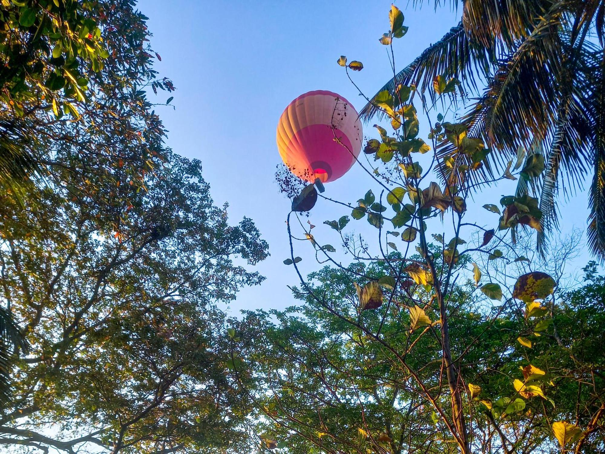 Nature Lotus Villa Dambulla Extérieur photo