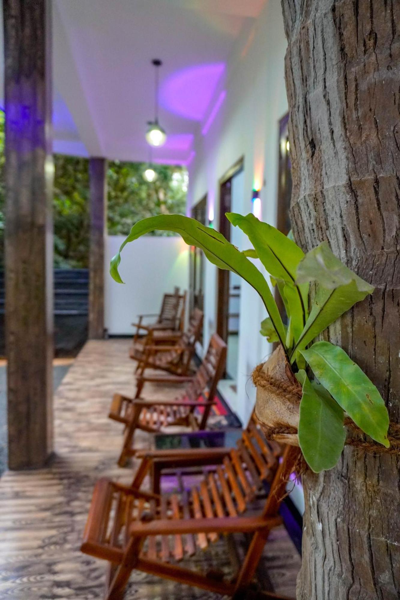 Nature Lotus Villa Dambulla Extérieur photo