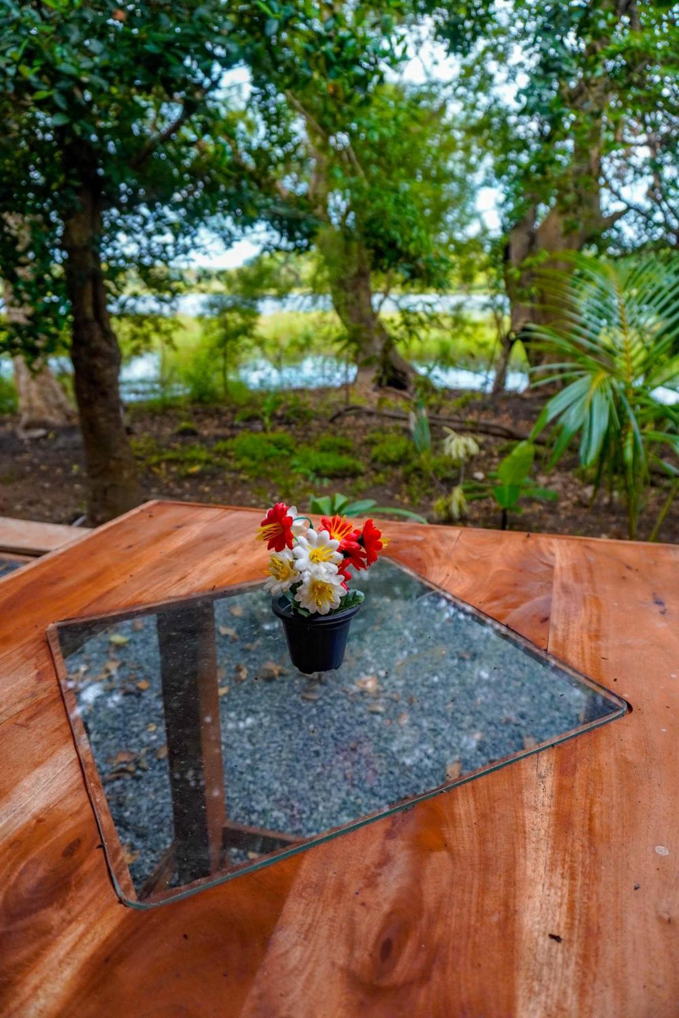 Nature Lotus Villa Dambulla Extérieur photo